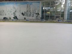 -世界之窗阿尔卑斯冰雪世界