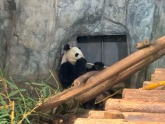 -深圳野生动物园