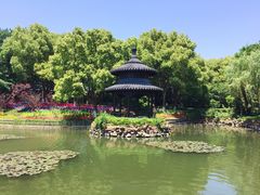 -天目湖山水园