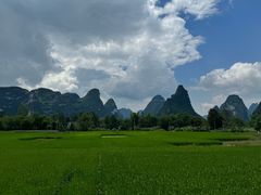 -明仕田园