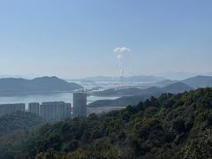 -黄贤森林公园