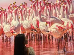 -罗红摄影艺术馆