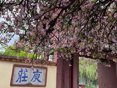 -庾园