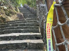 -广州白江湖森林公园