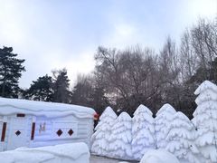 -长春市南湖公园