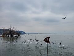 -捞渔河湿地公园
