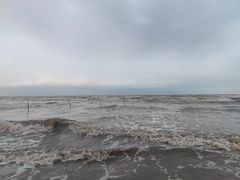 -启东黄金海滩景区
