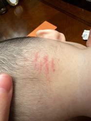 -星咔萌·StarCamo儿童剪发(东坝万达广场店)