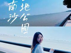 -大湾区中央湿地公园