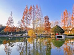 -环城公园-琥珀潭