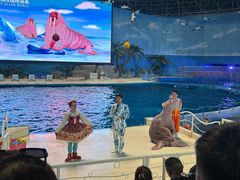 -泉城欧乐堡海洋极地世界