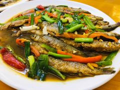 红烧野生三清小河鱼-菜当家