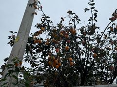 -辛庄国际文化艺术区