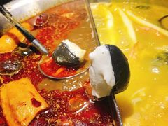 花胶鸡鸳鸯锅-湊湊火锅·茶憩(和平大悦城店)