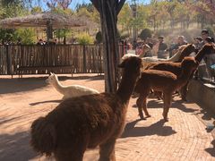 -鄂尔多斯野生动物园