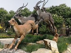 -武清南湖绿博园