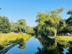 -上海共青森林公园