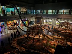 -自贡恐龙博物馆