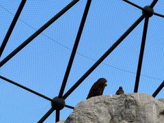 -鄂尔多斯野生动物园