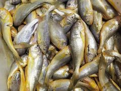 -大连双兴商品城