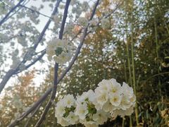 -春晖园度假酒店温泉