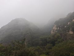 -大岭沟猕猴桃谷风景区