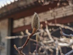 -团结湖公园