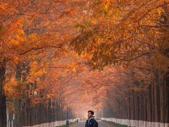 -黄海国家森林公园