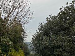 -树山生态村