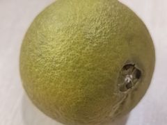 -取水楼(地铁站)