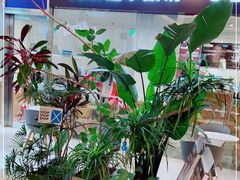 -Blueglass酸奶(财富购物中心店)