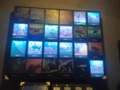 -BlueGame深蓝密室逃脱真人NPC(京投港·长阳店)