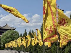 -大槐树寻根祭祖园