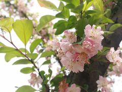 -西南民族大学南区(双流校区)