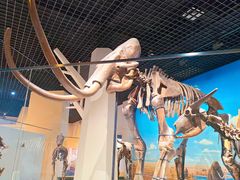 -国家自然博物馆