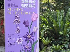 -深圳仙湖植物园
