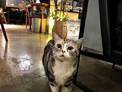 -咖法森林·咖啡  酒吧(天河店)