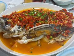 -全乐鱼馆·淳牌有机鱼直营店