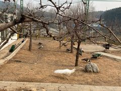 -丽泽山庄·生态怀柔菜·虹鳟鱼(红螺寺店)