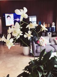 -北京米扬丽格医疗美容·联合丽格鼻整形中心