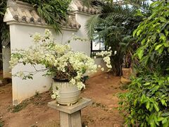-石家庄市植物园