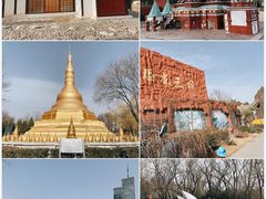 -北京世界公园