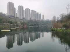 -重庆彩云湖湿地公园