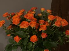 -四季餐厅·新津菜(环湖中路店)