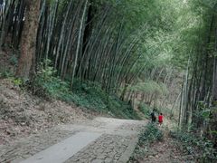 -西湖风景区十里琅珰-五云山