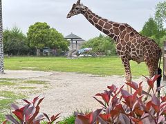 -宁波野生动物园