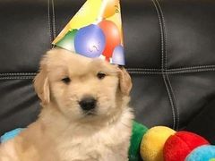 -秦桥足道·SPA·影院(万达店)