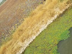 -天津东丽湖风景区