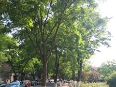 -天津五大道文化旅游区