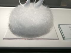 -BLACKSWAN黑天鹅(环球店)